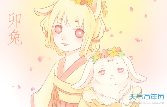 2019属兔运势女(2019年属兔女全年运势详解)