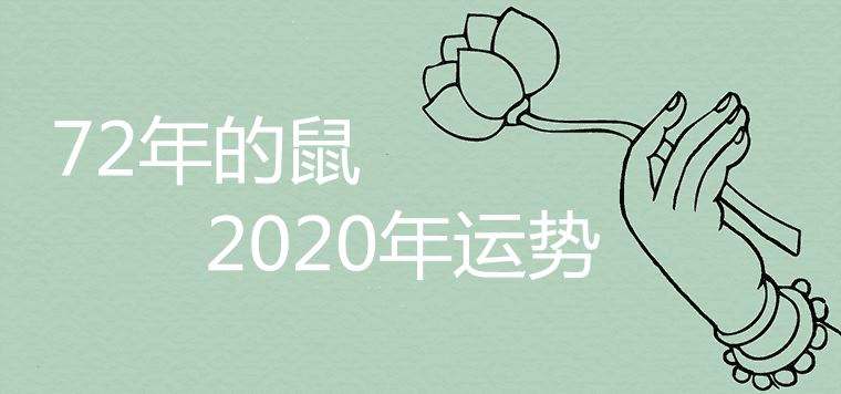 72年鼠2019年每月运势(72年老鼠2020年每月运势)