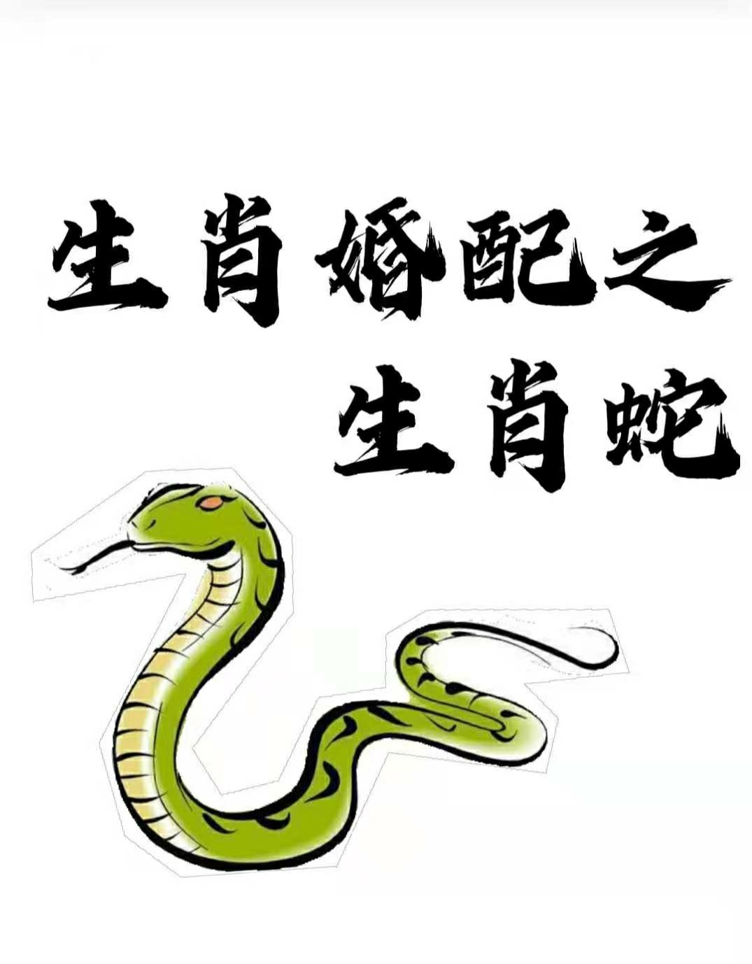 生肖婚配八字合不合(八字合婚生肖不配怎么办)