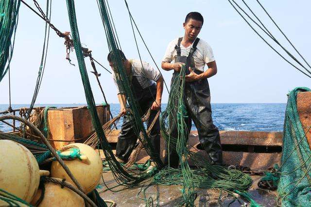 珠海捕鱼合不合法(珠海可以出海捕鱼吗)