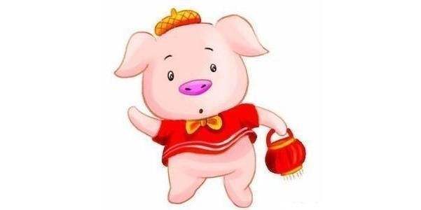 属老虎跟猪合不合婚(属虎和属猪的婚姻合不合)