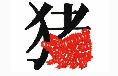 属老虎跟猪合不合婚(属虎和属猪的婚姻合不合)