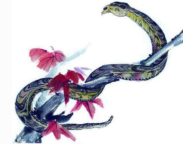 18年蛇的运势(蛇在2019年的运势)