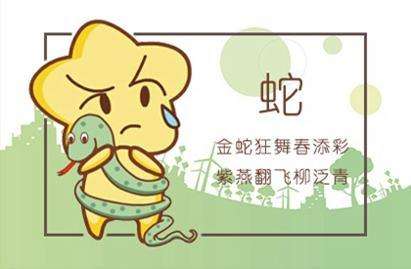 18年蛇的运势(蛇在2019年的运势)