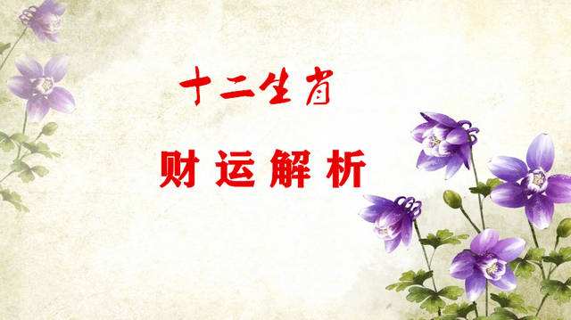 各属相2019年运势(2019年十二生肖每月运势)