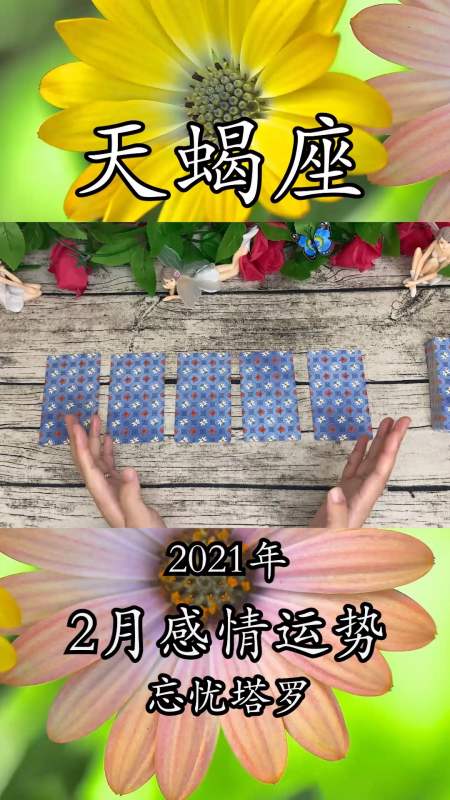 2014年属蛇天蝎座运势(2014年属蛇天蝎座运势怎样)