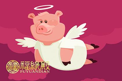 属猪父母跟属蛇儿子合不合(属猪父母跟属蛇儿子合不合财)