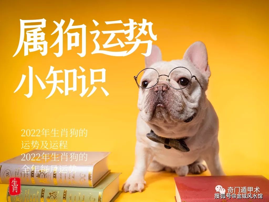生肖狗每月运势(2022年生肖狗每月运势)