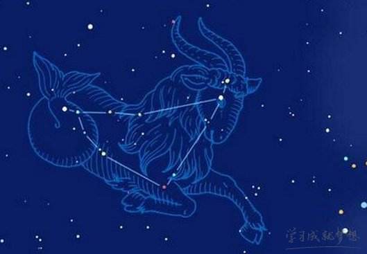 魔蝎明日运势(魔蝎明日运势2021)