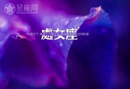 处女2016年11月运势(星座运势处女座11月份运势)