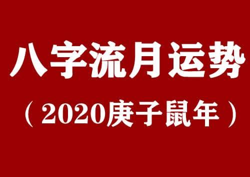 鼠年中国运势(属鼠的今年的运势)