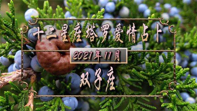 10月双子座爱情运势(10月双子座爱情运势分析)