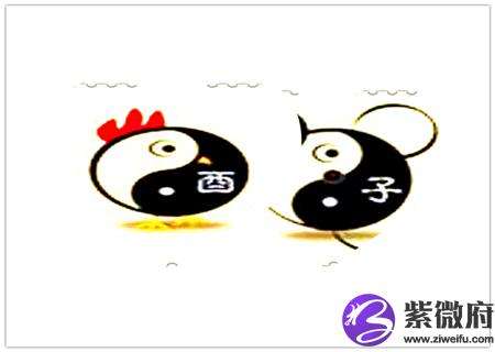 男鸡与男鼠合不合(男鸡与男鼠合不合财)