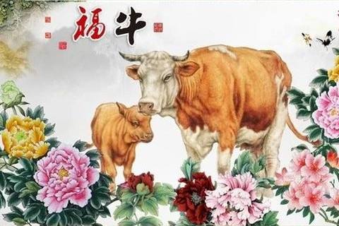 蛇和牛兔合不合婚(蛇和兔合不合适婚姻)