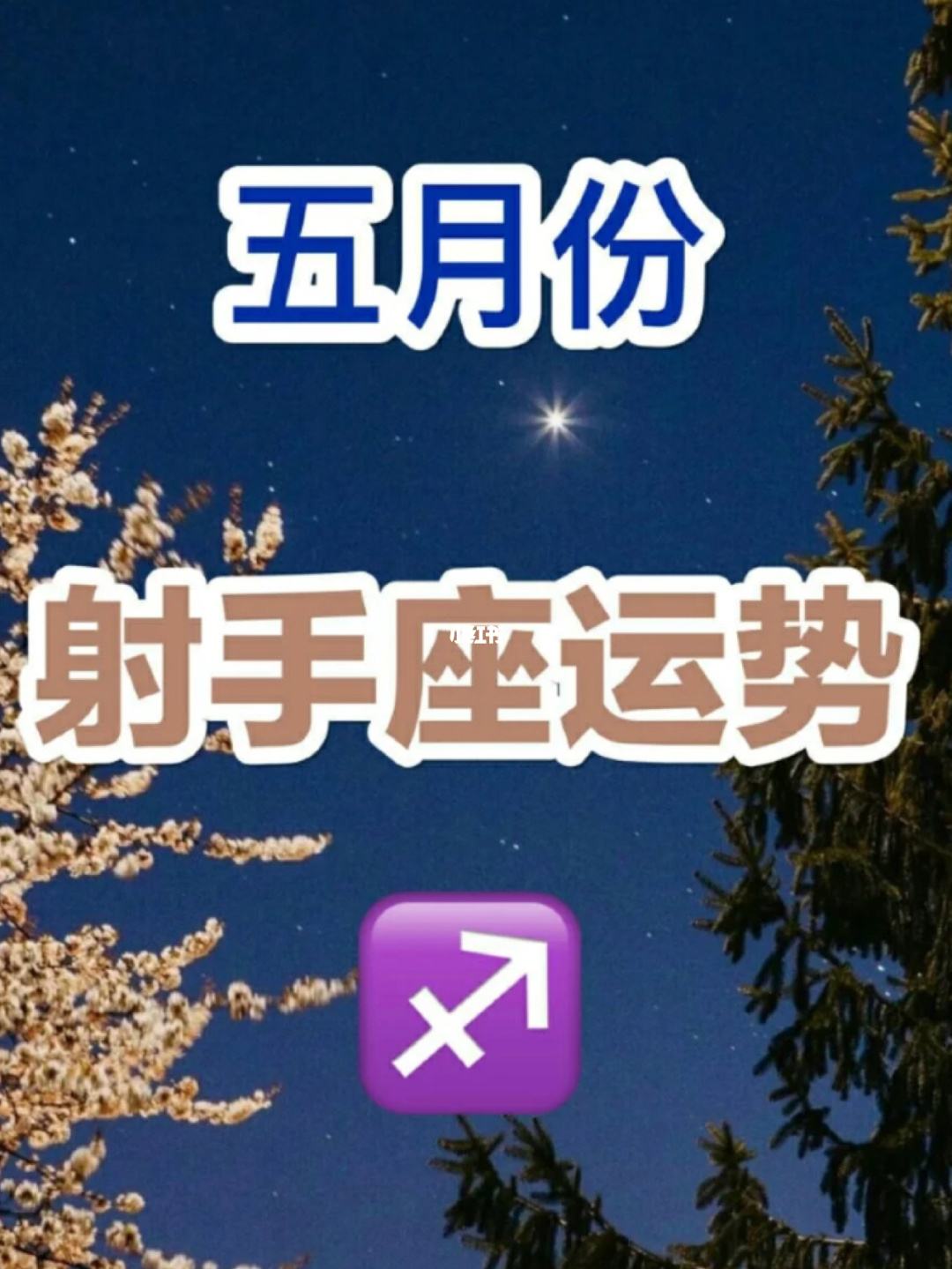 射手座五月运势(射手座五月运势学业)