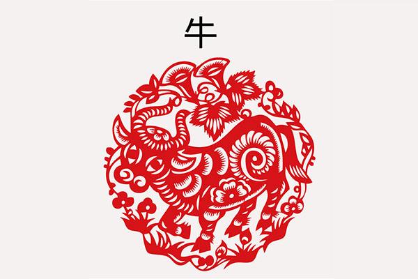 牛属相运势详解(属相牛运势及运程)