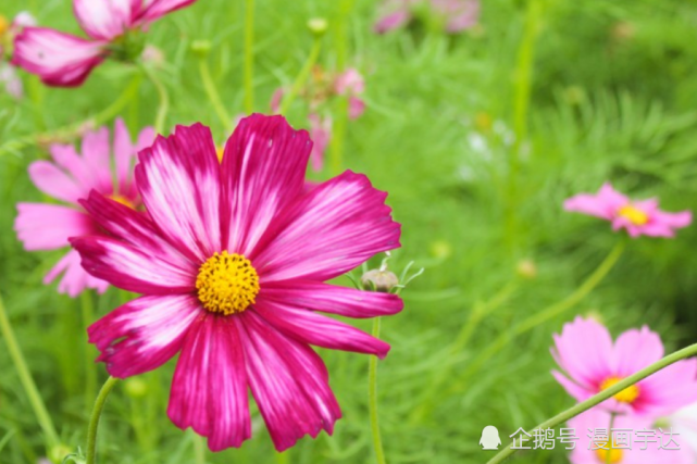 七月的运势如何(七月属相运势如何)