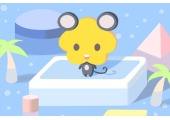 鼠年2019年运势及运程(鼠年2019年运势及运程详解)