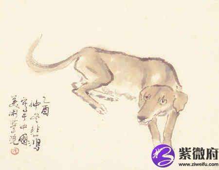 属小龙的跟狗合不合(属狗和小龙的婚姻和不和)