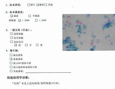 运势报告单(今日运程每日运势分析)