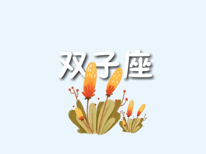 双子座桃花运势(双子女最近桃花运势)