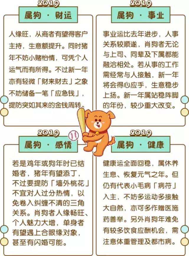 属相算命2019年运势(2019运势生肖运势详解)