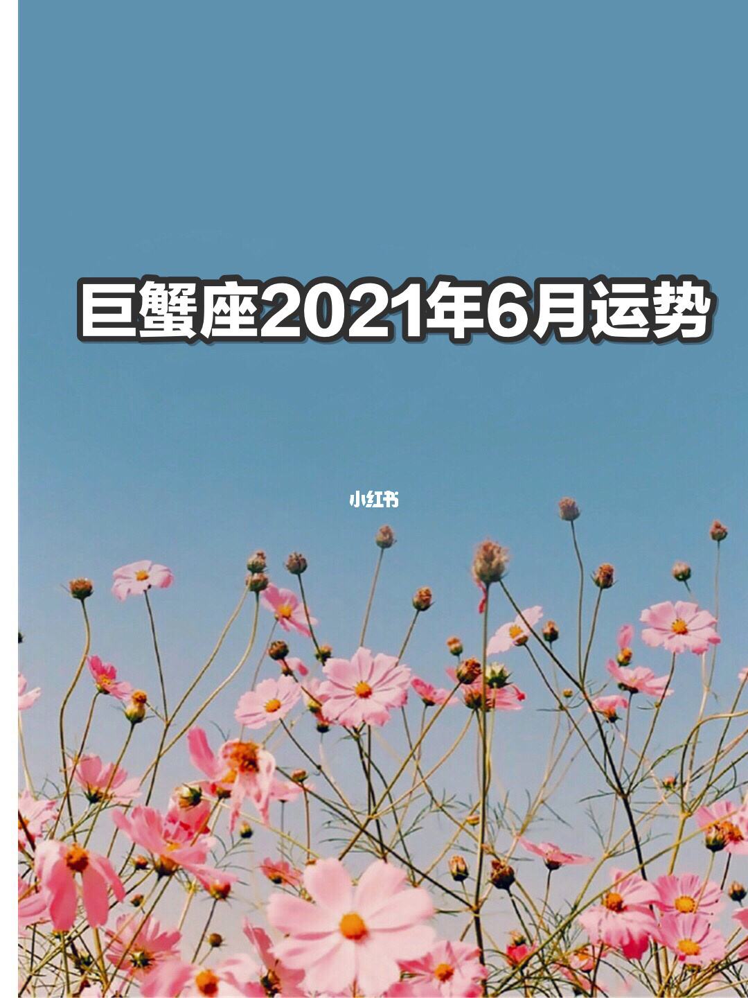 巨蟹2015年6月运势(2015年巨蟹座运势完整版)