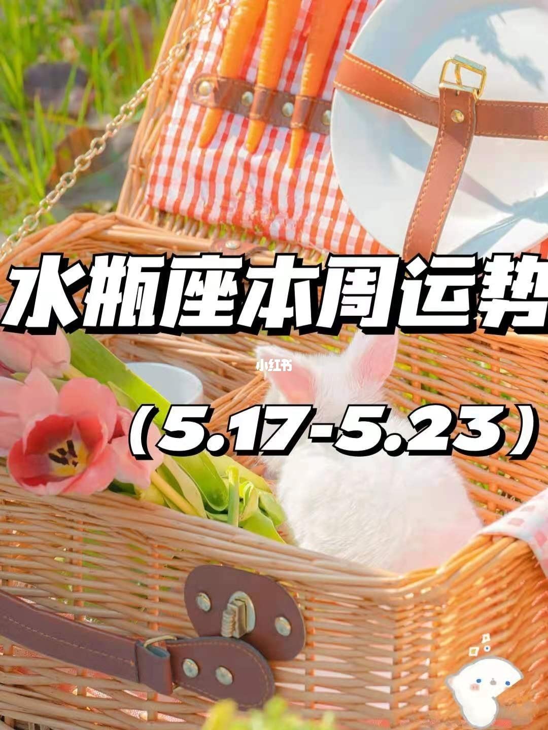 水瓶座运势2017年5月的简单介绍