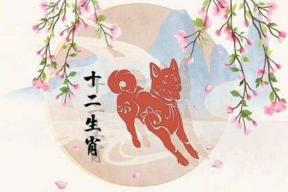 生肖狗5月运势2017(生肖狗5月运势2022年)