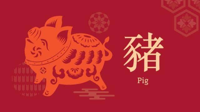 新年运势图片(新年好运气图片)