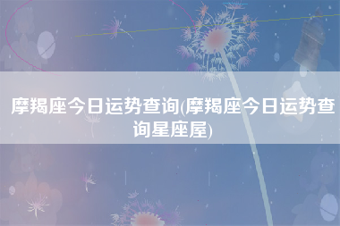 星座屋每日运势查询下载(星座屋每日运势查询下载最新版)