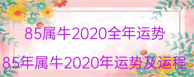 2019年属牛的运程每月运势(2019年属牛的运程每月运势怎么样)