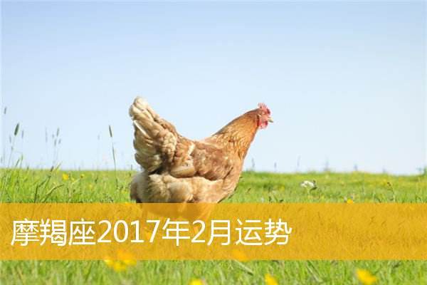 测试2017年的事业运势(测试2017年的事业运势准吗)