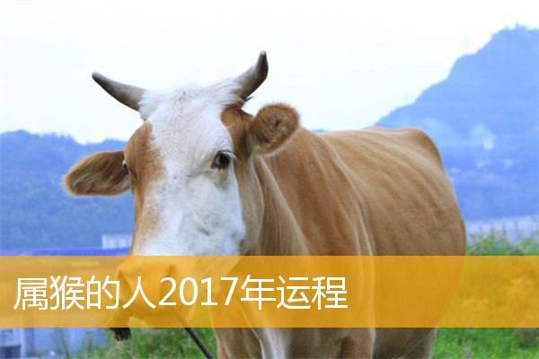 测试2017年的事业运势(测试2017年的事业运势准吗)