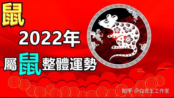 2020年属鼠的全年运势(2020年属鼠的全年运势及运程)