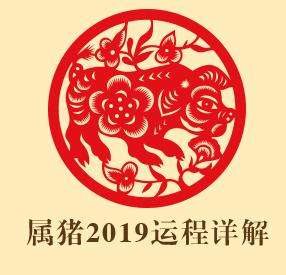 2019年本命年运势(2018年本命年运势如何)