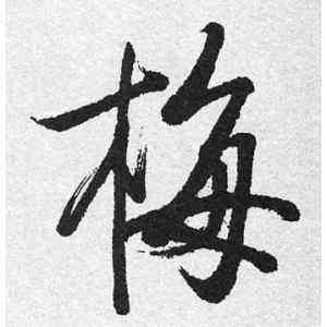 梅字的运势(关于梅字的名字大全)