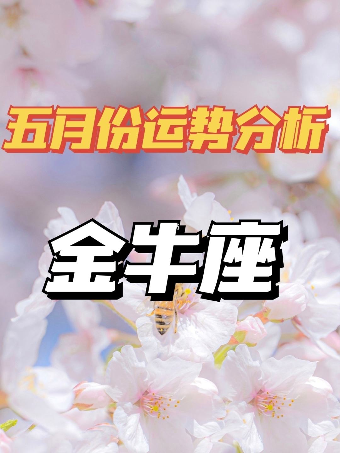 金牛座运势2021(金牛座运势2021年运势详解)