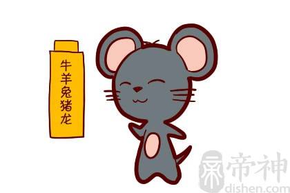 猪与鼠生肖生意合不合(生肖猪和生肖老鼠合不合)