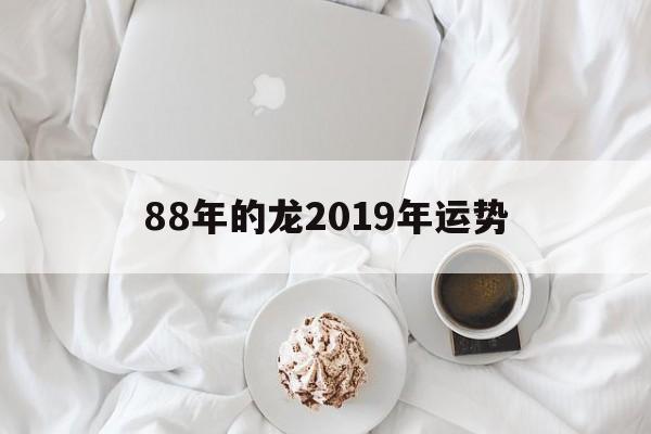 88年的龙2019年运势(88年的龙2019年运势如何)