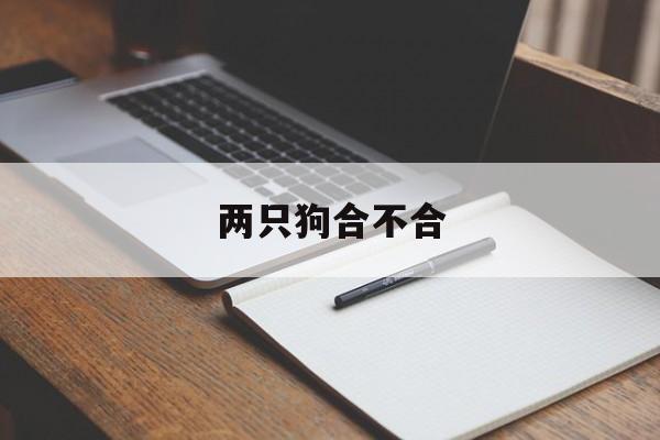 两只狗合不合(狗跟狗合不合得来)