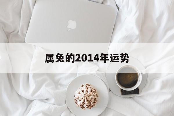 属兔的2014年运势(属兔人2014年运势及运程)