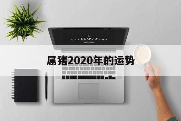 属猪2020年的运势(属猪的人2020年的运势)