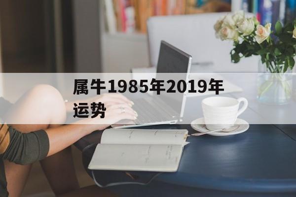 属牛1985年2019年运势(属牛1985年2019年运势如何)