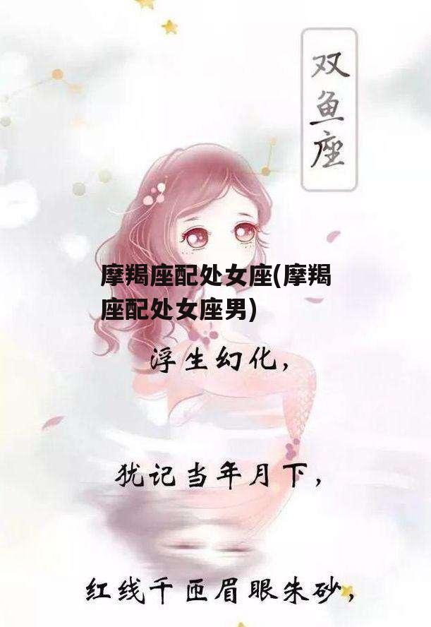 摩羯座配处女座(摩羯座配处女座男)