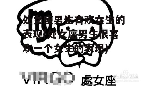 处女座男生喜欢女生的表现(处女座男生很喜欢一个女生的表现)