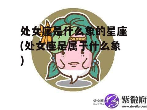 处女座是什么象的星座(处女座是属于什么象)