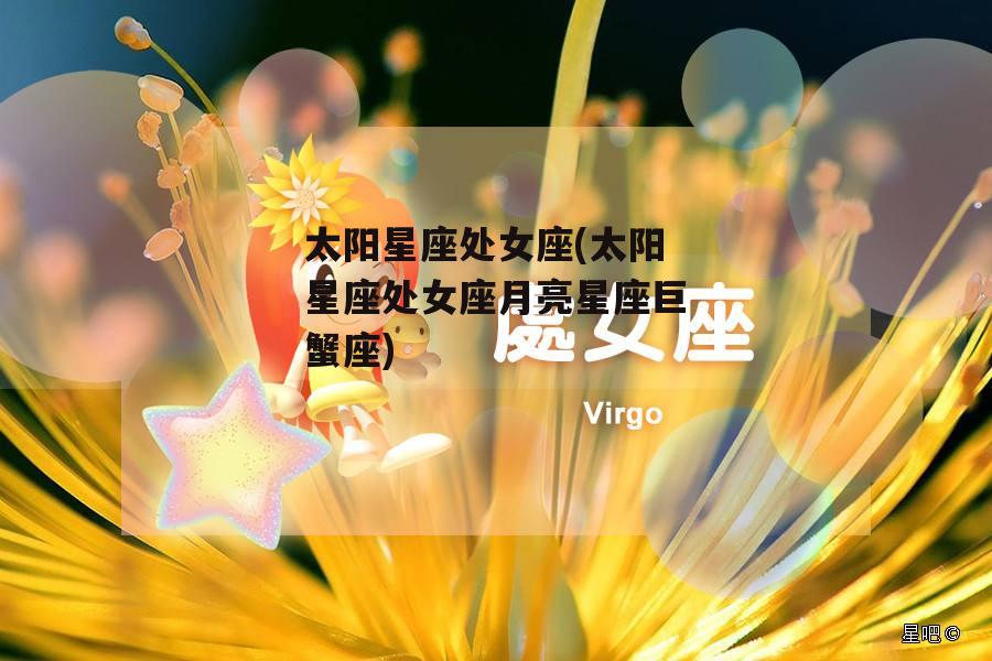 太阳星座处女座(太阳星座处女座月亮星座巨蟹座)