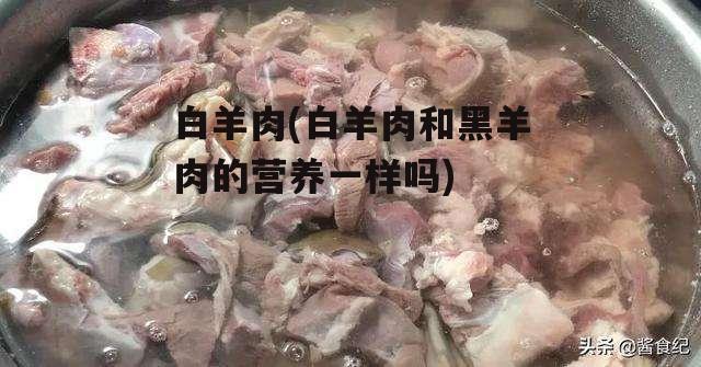 白羊肉(白羊肉和黑羊肉的营养一样吗)