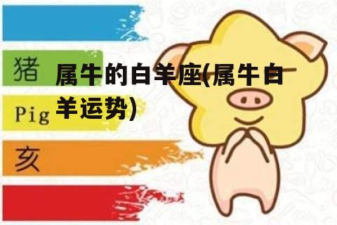 属牛的白羊座(属牛白羊运势)